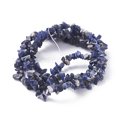 Natural Sodalite Beads Strands&nbsp;G-G782-31