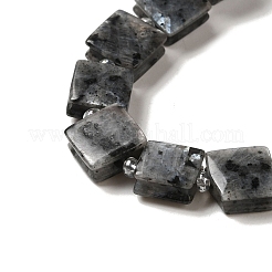 Natural Larvikite Beads Strands&nbsp;G-L596-A16-01