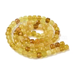 Natural Yellow Opal Beads Strands&nbsp;G-R013-C01