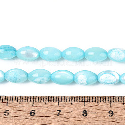 Natural Trochus Shell Beads Strands&nbsp;SHEL-K006-19-01B