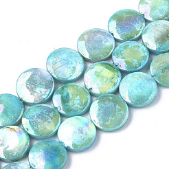 Freshwater Shell Beads Strands&nbsp;SHEL-S274-52
