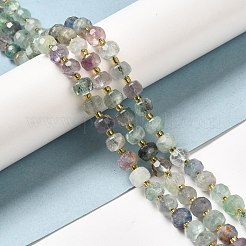 Natural Fluorite Beads Strands&nbsp;G-P508-A07-01