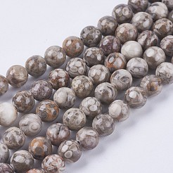 Natural Maifanite/Maifan Stone Beads Strands&nbsp;G-I187-4mm-01