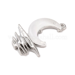 Alloy & Resin Pendants&nbsp;LS-FIND-G081-01E-P