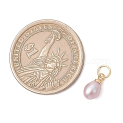Natural Cultured Freshwater Pearl Rice Charms with Brass Bails&nbsp;PALLOY-JF05028