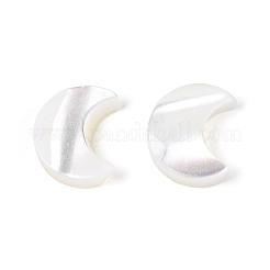Natural Trochus Shell Beads&nbsp;BSHE-E026-13