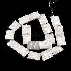 Plating Natural Freshwater Shell Beads Strands&nbsp;SHEL-N026-222