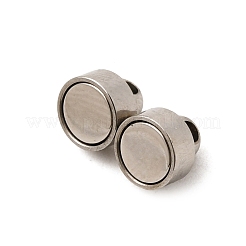 304 Stainless Steel Magnetic Clasps&nbsp;STAS-F350-02P