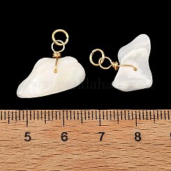 Natural Shell Pendants&nbsp;PALLOY-JF05923
