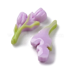 Luminous & Two Tone Resin Decoden Cabochons&nbsp;RESI-Z032-02C