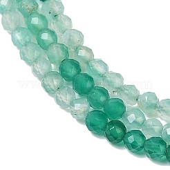 Gradient Color Natural Green Onyx Agate(Dyed & Heated) Beads Strands&nbsp;G-A252-A04-01