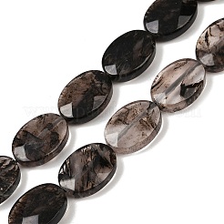 Watermelon Stone Glass Beads Strands&nbsp;G-F795-B01