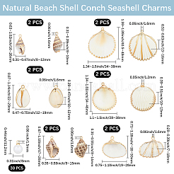 12Pcs 6 Styles Electroplate Sea Shell Pendants & 30Pcs ABS Plastic Imitation Pearl Charms Findings Kits&nbsp;SSHEL-BBC0001-06