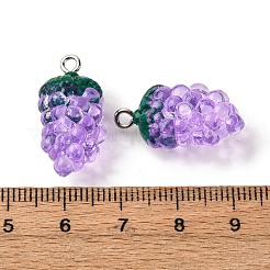 Trasparent Resin Pendants&nbsp;RESI-P045-08P-01