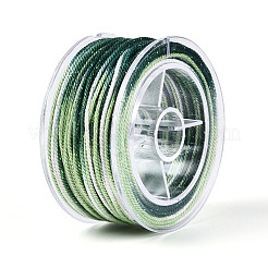 27M Segment Dyed Round Polyester Twisted Cords&nbsp;OCOR-N009-02A-03