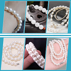 Polyester Cords&nbsp;OCOR-WH0067-88A-01