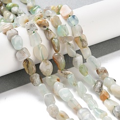 Natural Opal Beads Strands&nbsp;G-P497-01C-09