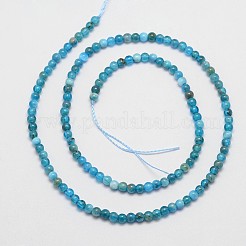 Natural Apatite Beads Strands&nbsp;X-G-D856-01-4mm