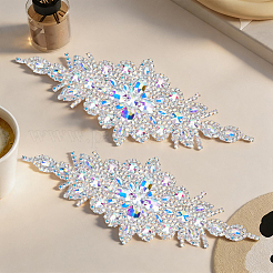 2Pcs Polyester Clothing Sew on Patches&nbsp;PATC-GF0002-06A