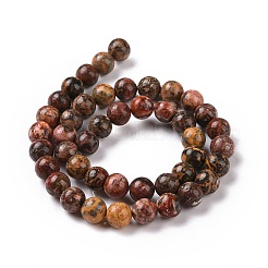 Natural Leopard Skin Jasper Beads Strands&nbsp;G-J358-05-8mm