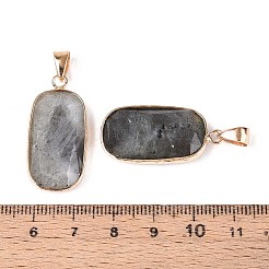 Natural Labradorite Pendants&nbsp;G-N349-03C-G