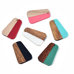 Resin & Wood Pendants&nbsp;RESI-N025-021
