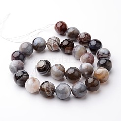Natural Botswana Agate Bead Strands&nbsp;G-J376-09-6mm