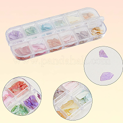 1 Set 12 Grid Nuggets Abalone Shell Nail Art Sequins for Woman Girls&nbsp;MRMJ-SP0001-06