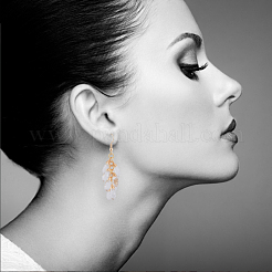 Dangle Earrings&nbsp;EJEW-JE04066