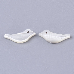Natural Trochid Shell/Trochus Shell Beads&nbsp;SSHEL-T014-05