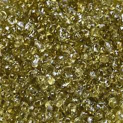 Spray Painted Glass Seed Beads&nbsp;SEED-F005-02A-04
