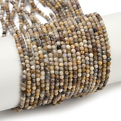 Natural Alashan Agate Beads Strands&nbsp;G-C181-B05-01