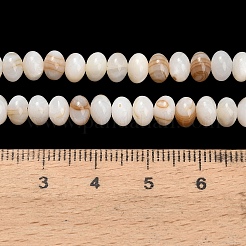Natural Freshwater Shell Beads Strands&nbsp;SHEL-C010-04A-01