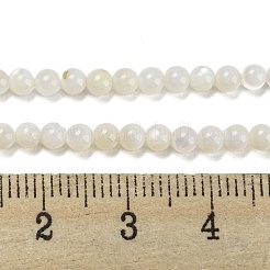 Natural Freshwater Shell Beads Strands&nbsp;BSHE-Z005-02