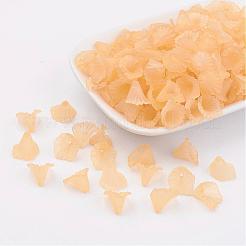 Transparent Acrylic Beads&nbsp;PL622-C06