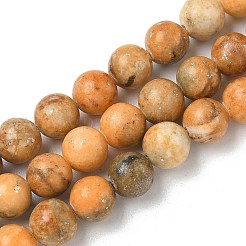 Dyed Natural Dolomite Beads Strands&nbsp;G-D337-8mm-D05