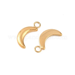 304 Stainless Steel Charms&nbsp;STAS-D390-23G