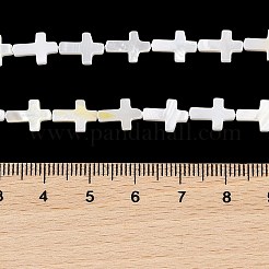 Natural Freshwater Shell Beads Strands&nbsp;BSHE-G036-05A