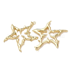 Alloy Big Pendants&nbsp;X1-FIND-Z095-10G