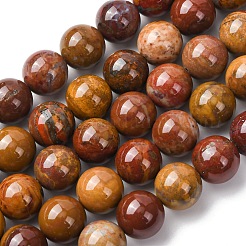 Natural Alashan Agate Beads Strands&nbsp;G-H343-D05-12mm-B