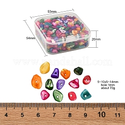 Natural Dyed Shell Beads&nbsp;G-YW0001-15