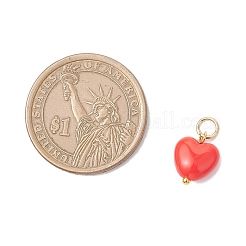 Opaque Acrylic Heart Charms&nbsp;PALLOY-MZ00844