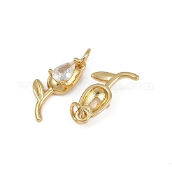 Brass Micro Pave Cubic Zirconia Pendants&nbsp;KK-Z120-06G-04