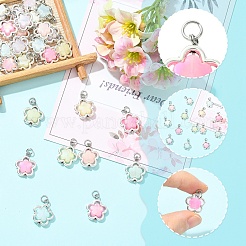 30Pcs Transparent Acrylic & Alloy Pendants&nbsp;PALLOY-YW00181