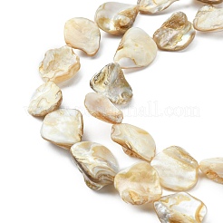 Handmade Shell Beads Strands&nbsp;X-PBB471-1