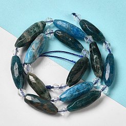 Natural Apatite Beads Strands&nbsp;G-H297-A03-01