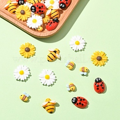 30Pcs 5 Styles Opaque Resin Cabochons Sets&nbsp;CRES-YW0002-55