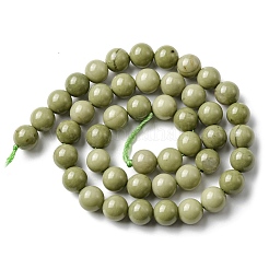 Natural Alashan Agate Beads Strands&nbsp;G-E598-03