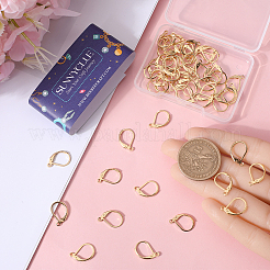 60Pcs 304 Stainless Steel Leverback Earring Findings&nbsp;STAS-SC0007-65