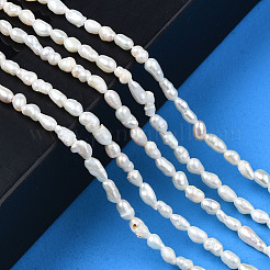 Natural Cultured Freshwater Pearl Beads Strands&nbsp;PEAR-N012-02F